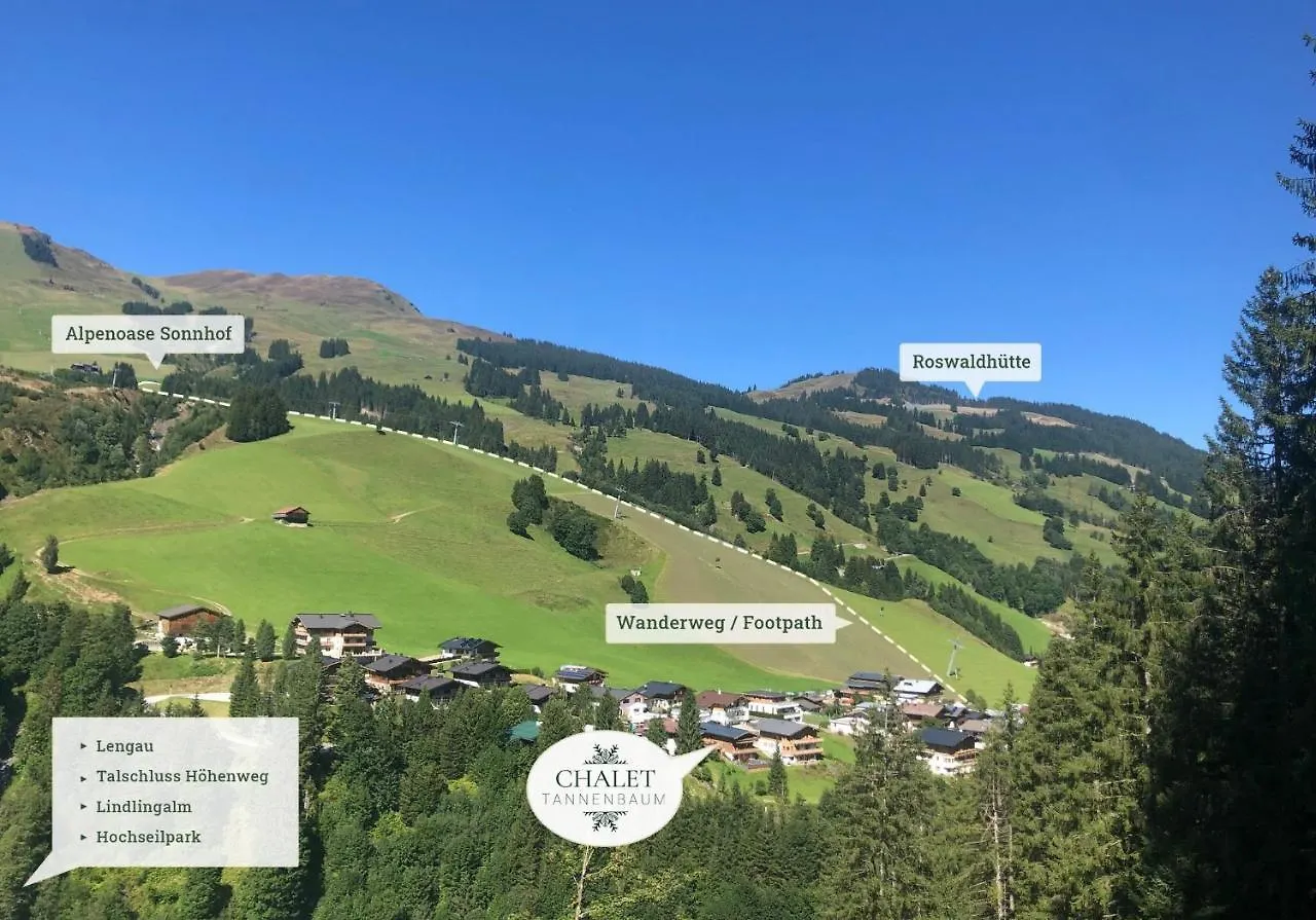 Chalet Tannenbaum Saalbach-Hinterglemm 0*,