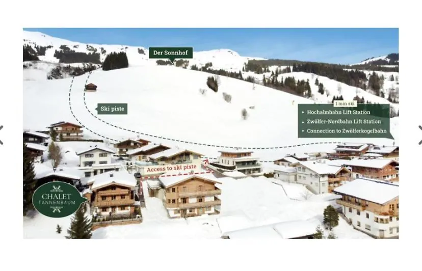 Chalet Tannenbaum Saalbach-Hinterglemm Austria